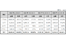 邹城融资清欠服务